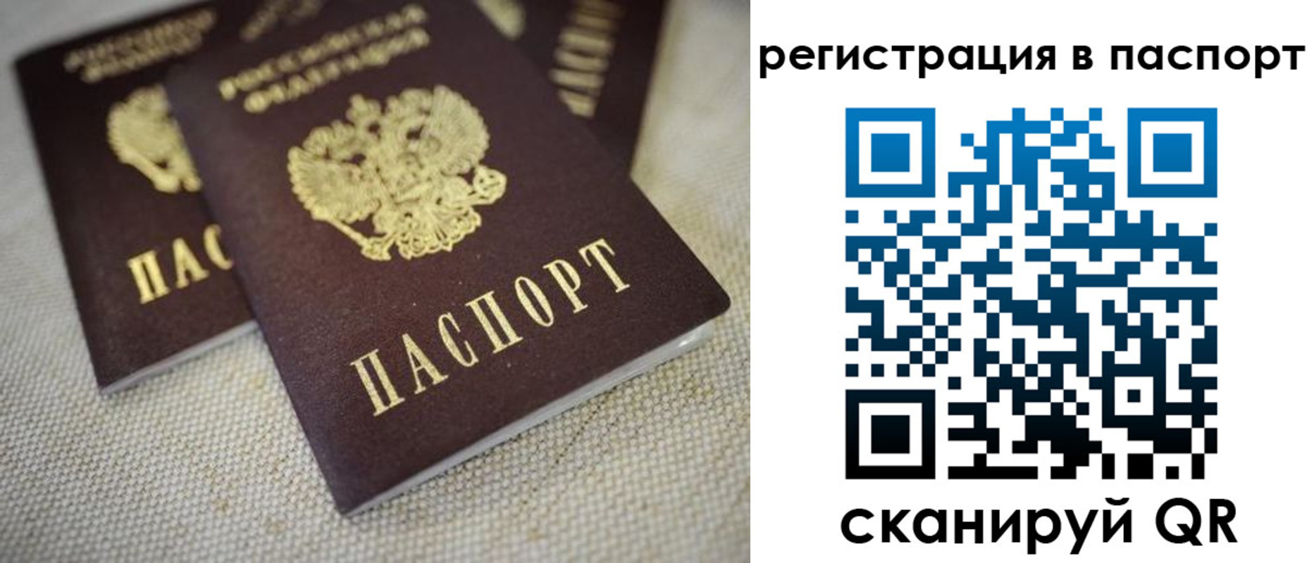 прописка гарантия в Братске
